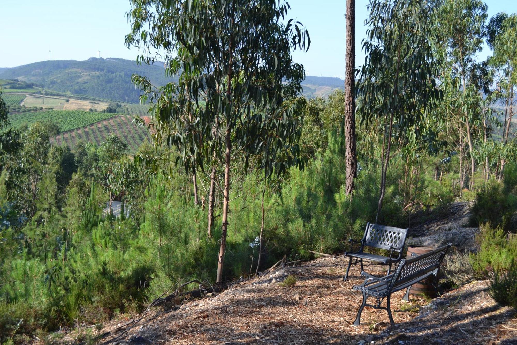 Villa Mountview Alenquer Exterior foto
